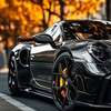 Auto & Parts