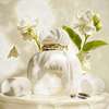 Care & Beauty