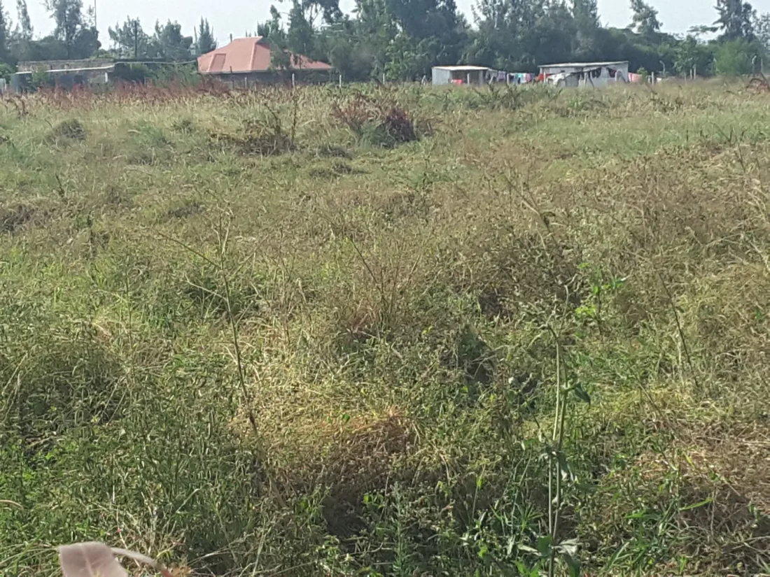 3 acre land for sale