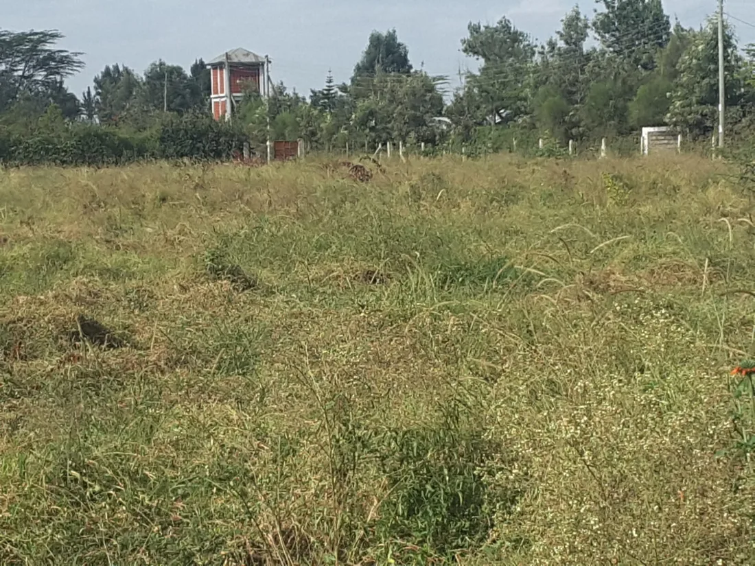 3 acre land for sale