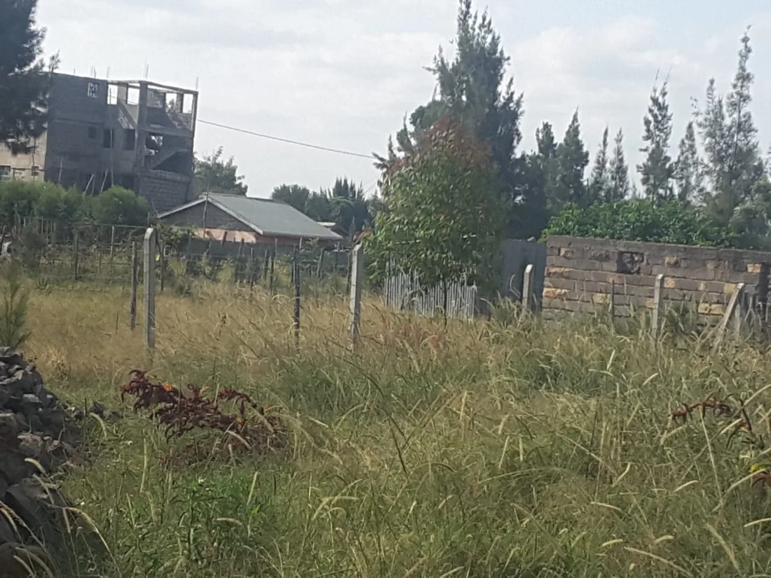 3 acre land for sale