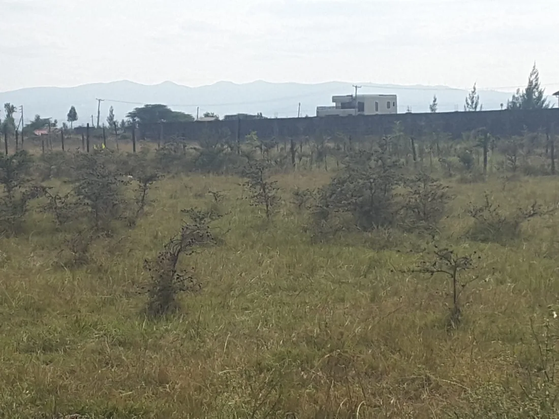 3 acre land for sale