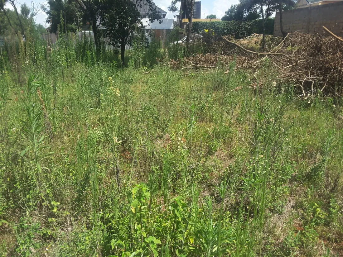 Residential plot on sale