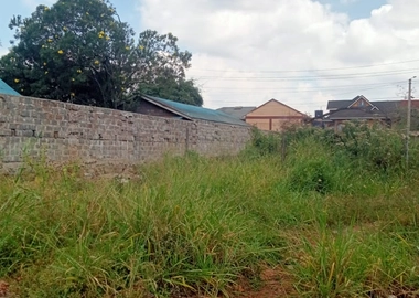 40 by 80 Plot at Lumumba Drive Roysambu