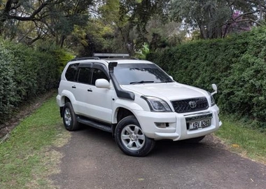 2007 landcruiser prado