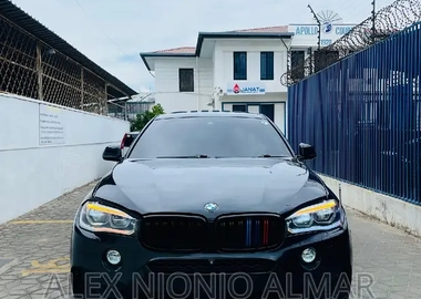Black BMW X6 2017