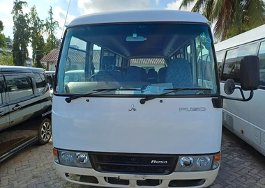 Mitsubishi ROSA