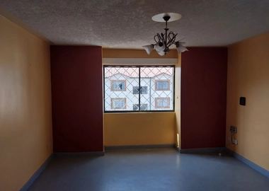 Rental house