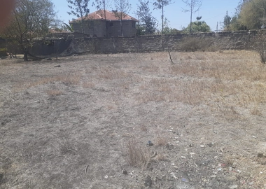 Land