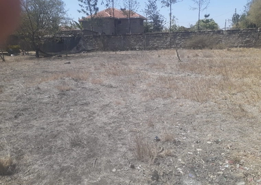 Land