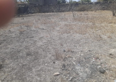Land