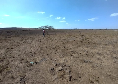 Land