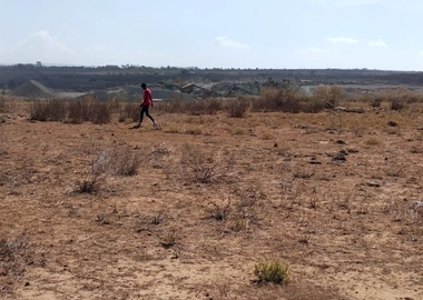 Land