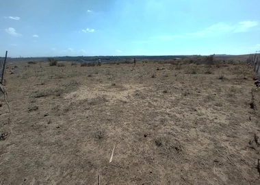 Land