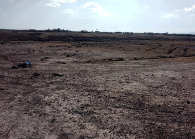 Land