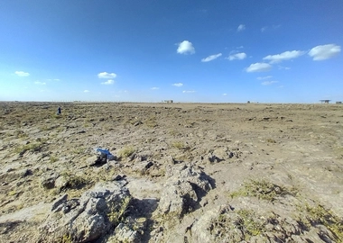 Land