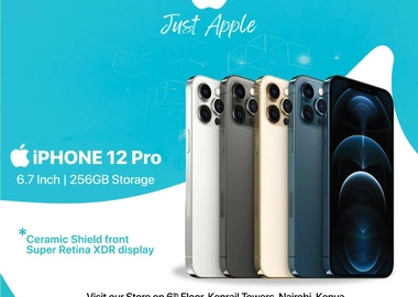 Iphone repair service