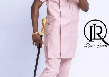 Stylish senator suit