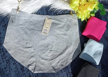 Plus size seamless panty