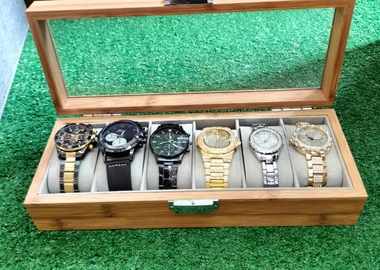 Watch organizer