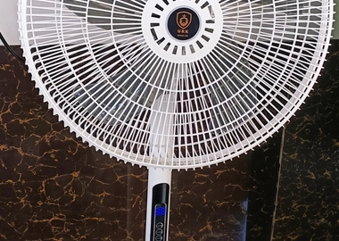 Standing fan