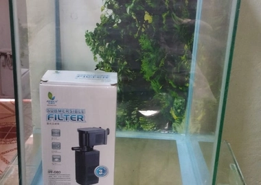 Aquarium