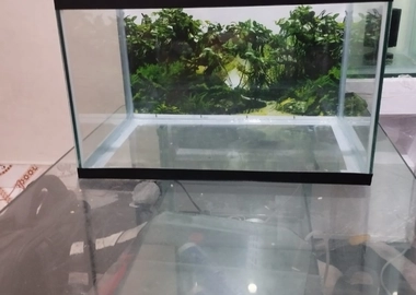 Aquarium