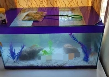 Aquarium
