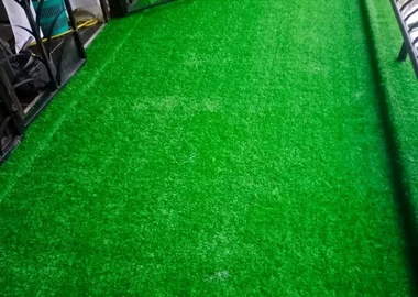 ARTIFICIAL GRASS CARPETS