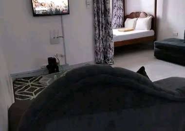 Cozy Airbnb studio