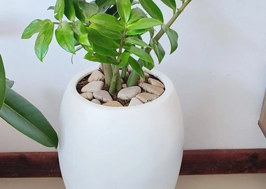 Rondo25 fibre pot