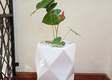 Big diamond fibre pot