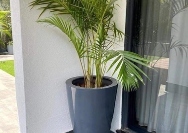 Cornical fibre pot