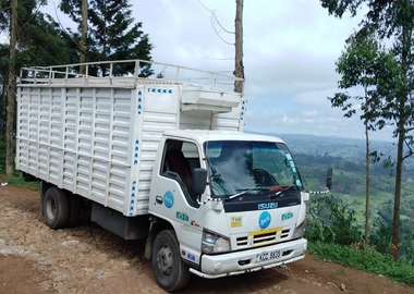 Logistics services