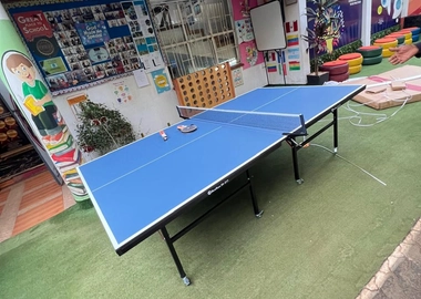 Brand new table tennis equipment