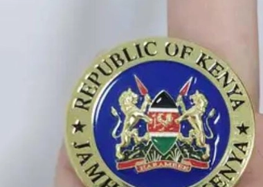 Republic label pin