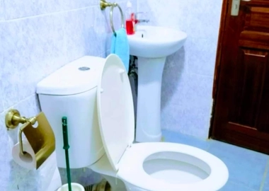 Executive Airbnb unit in Ruaka