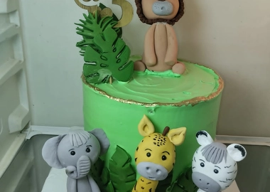 Aminated cartoon cake