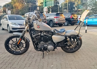 2019 Harley Davidson Iron 883 sportster