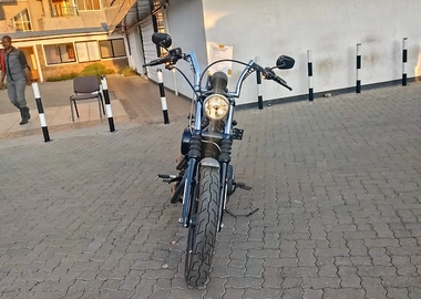 2019 Harley Davidson Iron 883 sportster