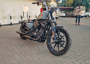 2019 Harley Davidson Iron 883 sportster