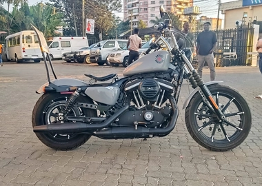2019 Harley Davidson Iron 883 sportster