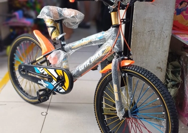 Size 20 orange bike