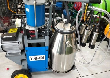 Single bucket milking machine.