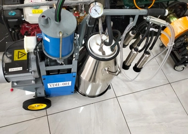 Single bucket milking machine.