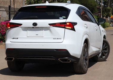 2018 MODEL LEXUS NX300