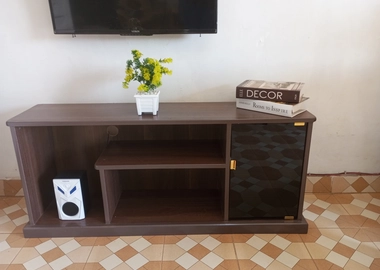 4ft TV stand with tinted glass door