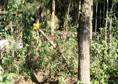 2 acre land for sale