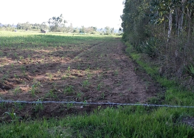 2 acre land for sale