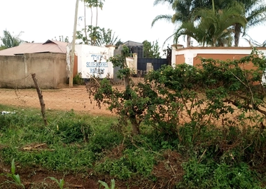 Slightly over quarter acre land